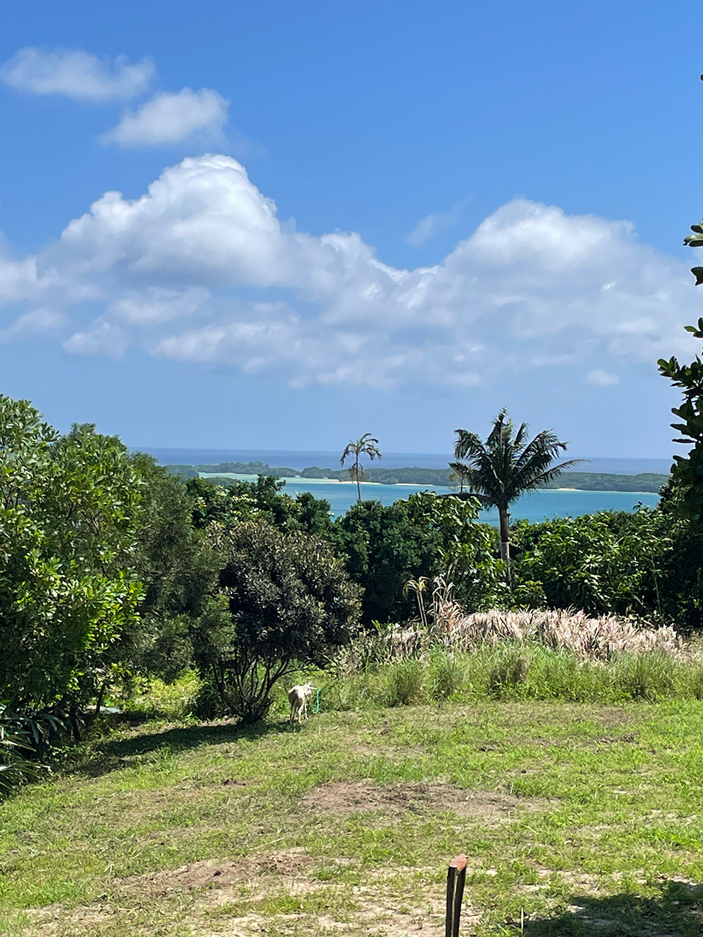  字川平（大嵩地区）