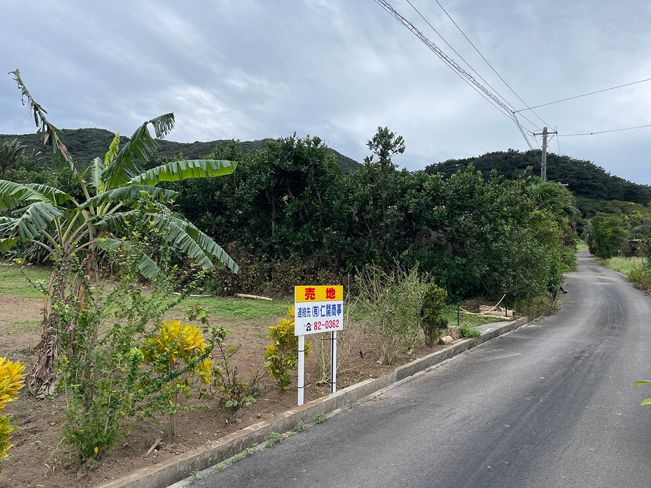  字川平（大嵩地区）