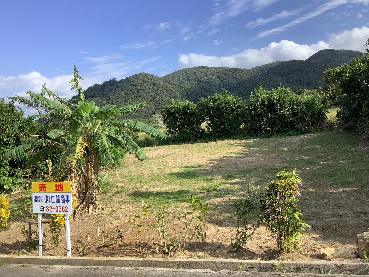  字川平（大嵩地区）