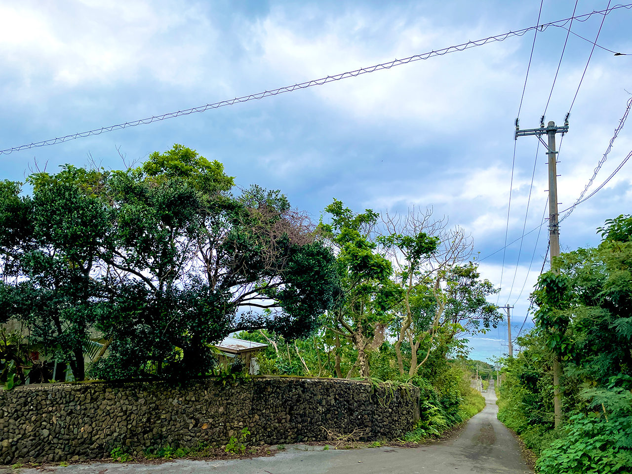 detached 川平山原