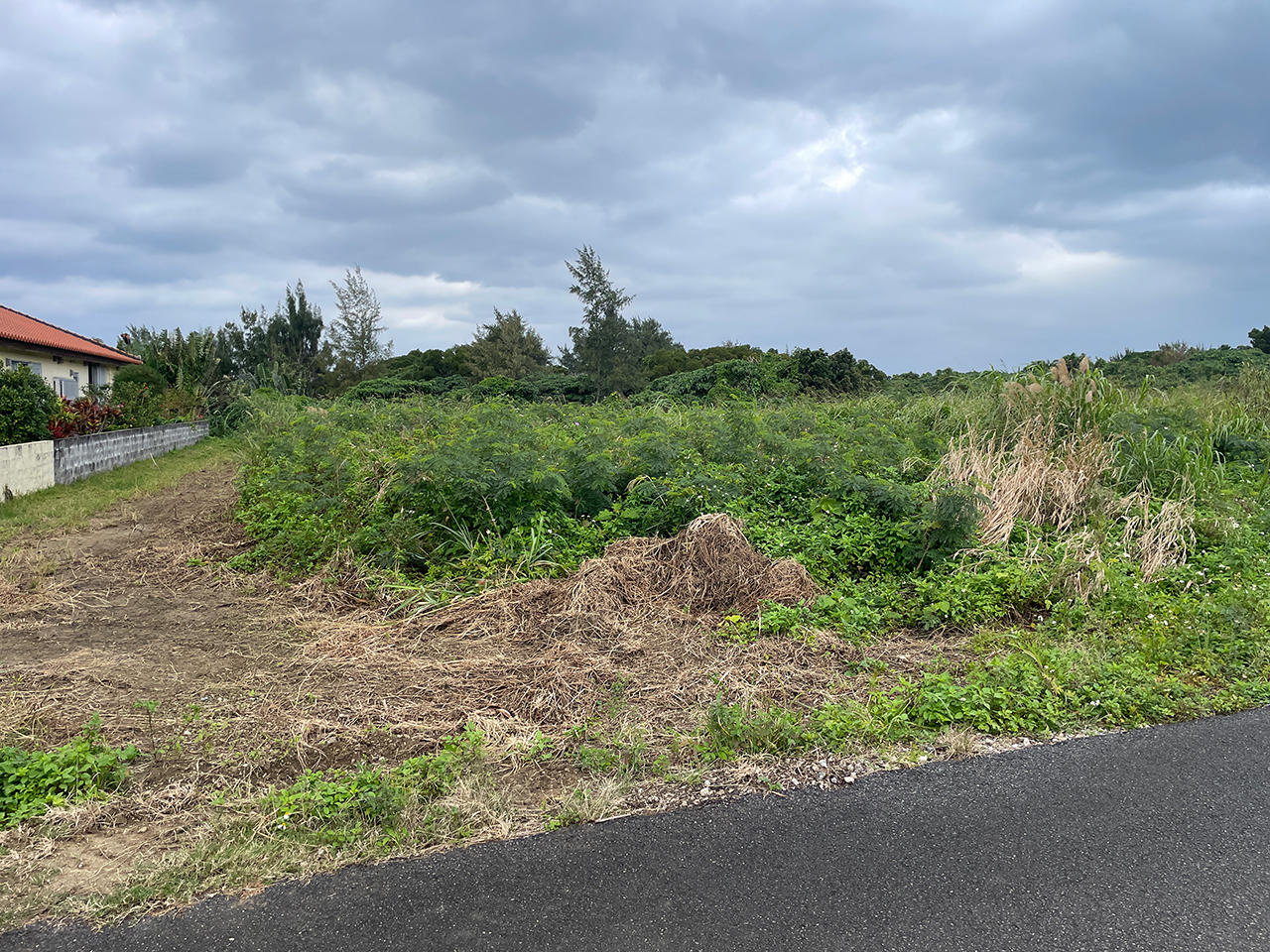  字新川（フサキ高台）